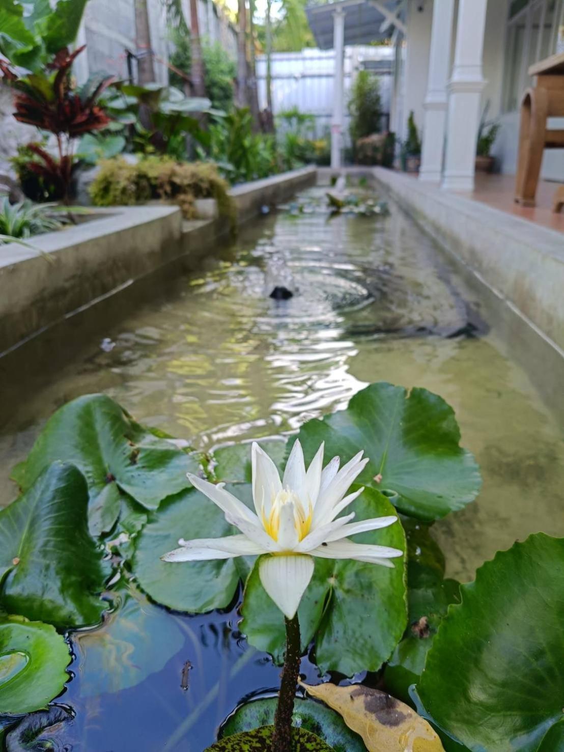 Baan Debtida Hotel Банкок Екстериор снимка